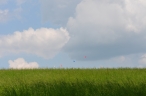 047_1373907954kl.jpg
