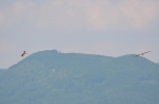 057_1373908222kl.jpg
