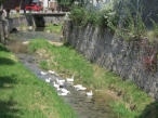 062_1373908562kl.jpg