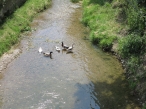 065_1373908562kl.jpg