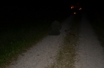 098_1373908817kl.jpg