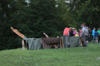 IMG_4446_1499895621kl.jpg