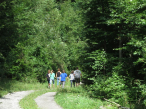 IMG_6891_1499979077kl.jpg