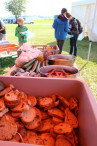 IMG_2341_15627040091kl.jpg