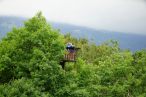 DSC00260_1594069852kl.JPG