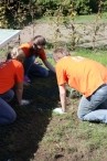 IMG_8736_14420562081