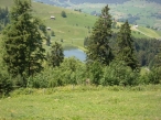 018_1279559464kl.jpg