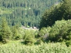036_1279559466kl.jpg
