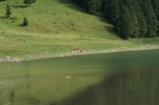 059_1279559800kl.jpg