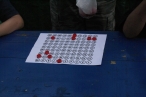 080_1279559803kl.jpg