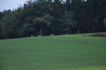 073_1468445323.jpg