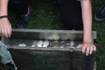 IMG_4393_1499895621.jpg