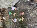 IMG_4035.jpeg