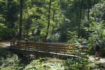 DSC04782.jpg