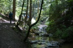 DSC04783.jpg