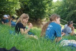 DSC04784.jpg