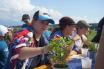 DSC04708.jpg